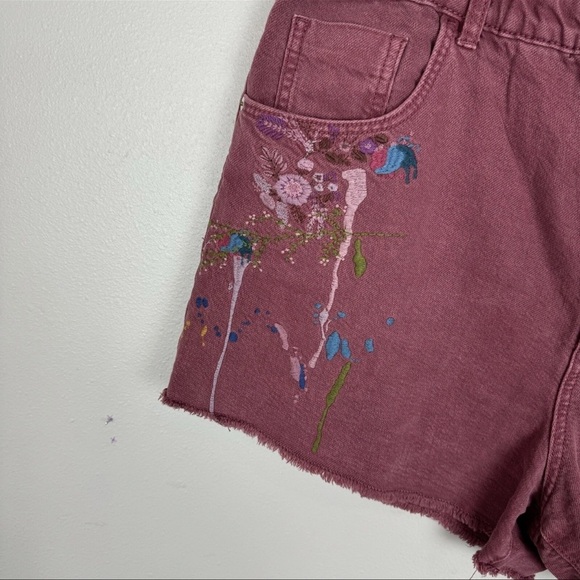 Anthropologie Pants - Anthropologie Pilcro Denim Shorts